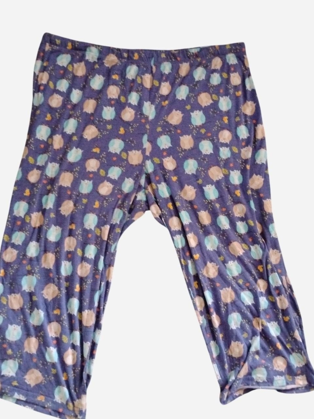 Blue Owl-Print Pajama Pants